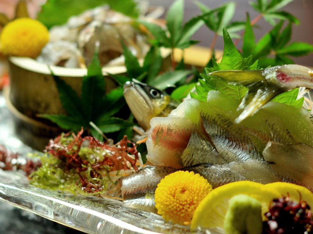 Hitoyoshi Ryokan מראה חיצוני תמונה